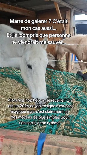 Tape 2026 et on en parle 👍 Et si comme moi tu comprends très vite l'opportunité que c'est et que tu te lances rapidement, tu auras un cadeau non négligeable 🤩 mais au delà du cadeau, pour s'en sortir aujourd'hui il n'y a que deux solutions : cumuler les emplois et ne plus avoir de temps pour soi, être fatiguée OU se lancer dans un job en ligne qui s'adapte à ta vie, que tu fais à ton rythme et qui permet vraiment de respirer sans sacrifier tout son temps libre alors on en parle ? #2026 #galere