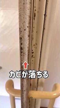 How to completely remove mold from rubber gaskets
