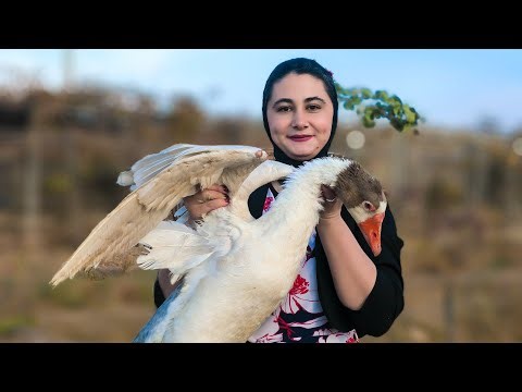 Catching a Goose in a Formal Dress (GONE WRONG!)