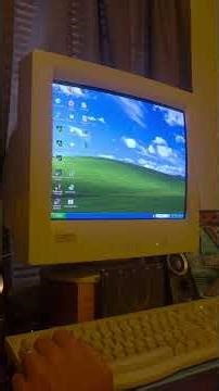 Windows XP in 2026!