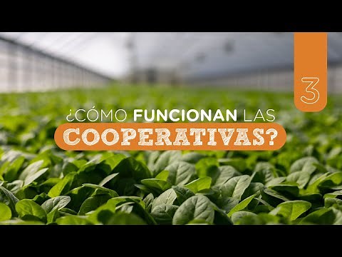 Y las #Cooperativas ¿cómo funcionan?