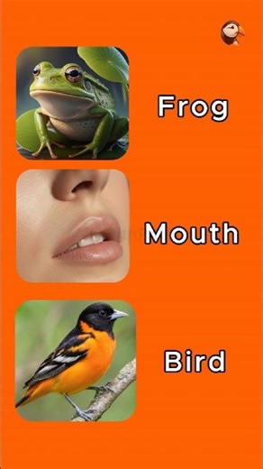 Literal vs Reality English Compound Words Part 8 #learnenglish #shorts #facts