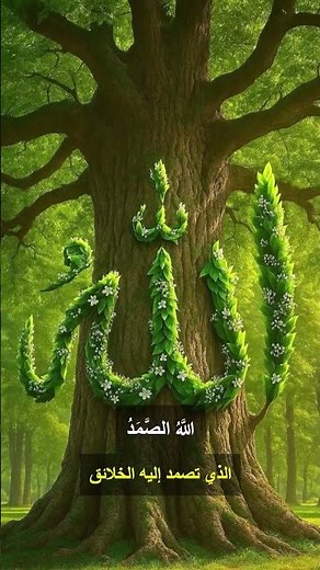 قل هو الله أحد | تلاوة مميزة لسورة الإخلاص الشيخ ياسر سلامة #قرآن #سورة_الإخلاص #تلاوة_خاشعة
