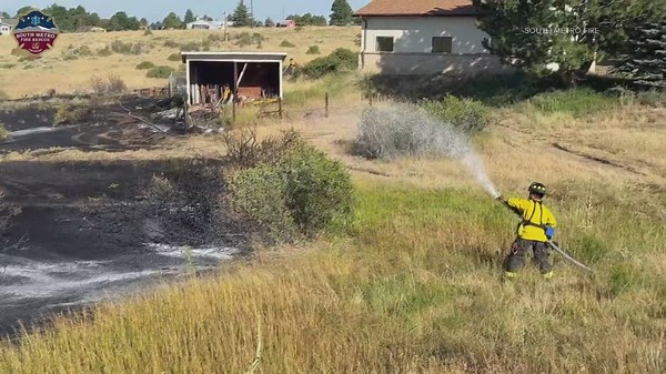 Bird gets electrocuted on power line, sparks fire