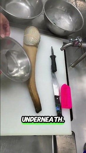 Why Is This Seafood So Expensive? Watch This! 😮 #geoduck #seafoodprep #oddlysatisfying #shortsvideo