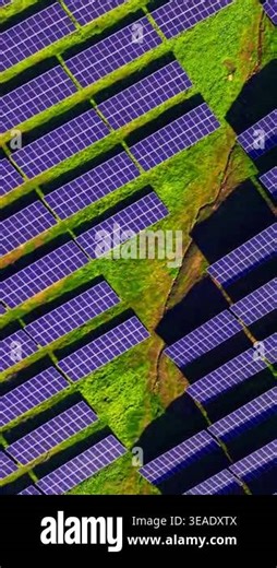 Direct overhead perspective of rectangular solar panel blocks arranged on bright green turf. Top down view of solar panels on green grass. Vertical video Stock Video Footage - Alamy