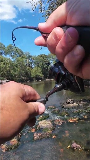 How To Catch More Fish! Creek Fishing Pro Tip!