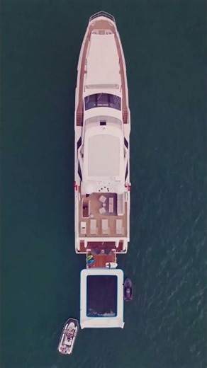 FREEDOME: Play Freely, Live Fully