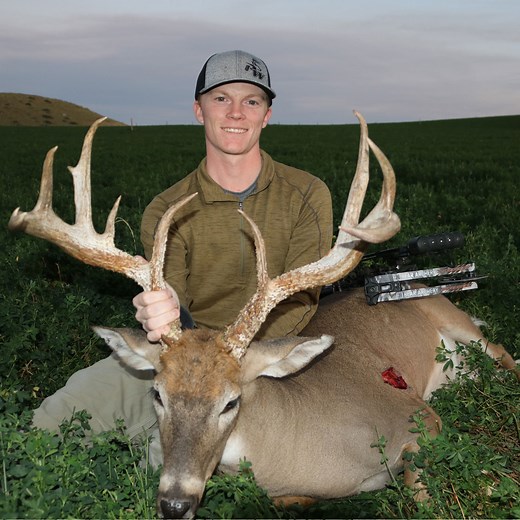 NAP Killzone Mechanical Broadhead | 2" Cutting Diameter