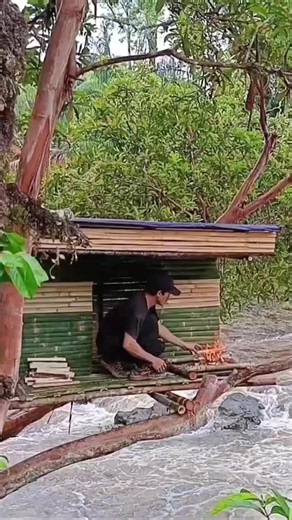 🌳🏕️ Camping Alone in a Treehouse | Solo Survival Adventure 🔥 Spending the night alone high above the ground, surrounded by nature! 🌲🌙 Building a shelter, enjoying the wilderness, and experiencing the ultimate solo camping adventure. 🏕️🔥🪵 👉 Follow for more amazing camping, bushcraft, survival, and outdoor adventures! ❤️🌲 #Camping #Survival #Treehouse #SoloCamping #Bushcraft