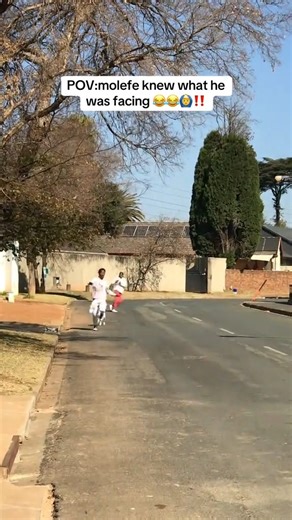 3.3K views · 11 reactions | the sad thing is that the dog is chasing the one who runs the fastest | The King Of Amapiano | Facebook