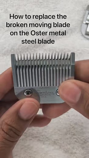 Bryce Slaughter on Instagram: "How to Replace the Moving Blade on an Oster Detachable Clipper Keeping your clippers in top shape is essential for precision and longevity. If your Oster detachable clipper isn’t cutting smoothly, it might be time to replace the moving blade. Here’s a step-by-step guide to get you back to crisp, clean cuts in no time. What You’ll Need: ✔️ A replacement moving blade ✔️ A screwdriver (Phillips or flathead, depending on the model) ✔️ A small brush or compressed air ✔️