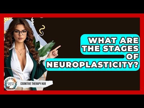 What Are The Stages Of Neuroplasticity? - Cognitive Therapy Hub