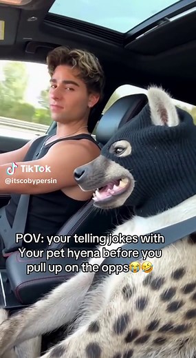 Telling Jokes to My Pet Hyena Before Pulling Up on Opps 😂