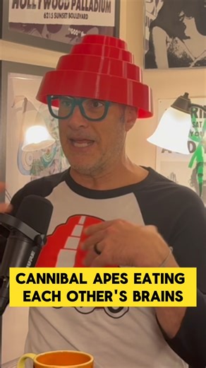 120 Months on Instagram: "Devo superfan @jc_lombardo explains how an avant garde art project evolved (devolved?) into one of the most enduringly weird and compelling bands in rock history. Check out the 120 MONTHS podcast feed on Apple or Spotify for the full episode! @clubdevo #rockhistory #1970s #1980s #ohio #kentstate #kentstateuniversity #devo #arewenotmen #rocknroll #newwave"