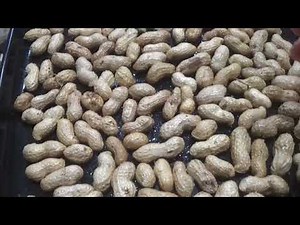 Roasting peanuts in a solar oven.