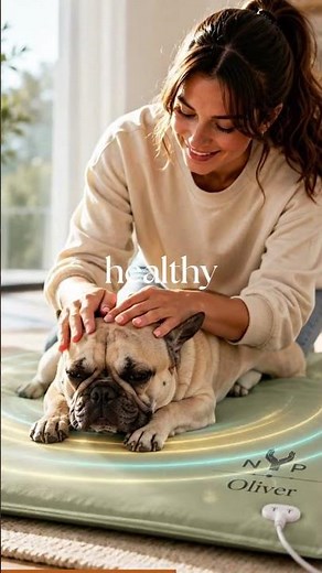 IVDD Recovery in Dogs | Gentle PEMF Wellness Support with NYP Oliver