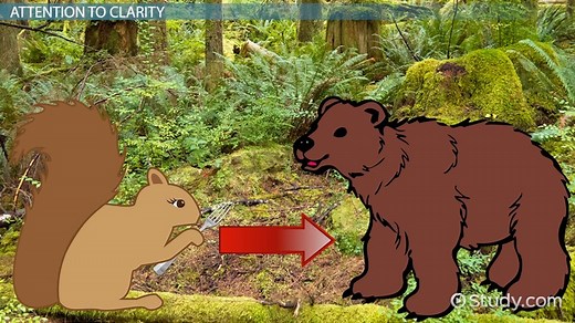 How to Draw Appropriate Diagrams of Scientific Processes and Concepts