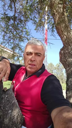 Videos de ☠️Comando☠️ (@julio.comando) con “original sound - Los Temerarios Lyrics”