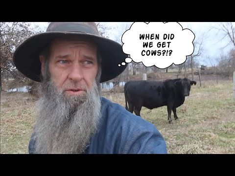Why we DON'T have Cows or Goats.. Homesteading Life | Off Grid