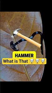 “Hammerhead Worm… Ye Kya Monster Hai?! 😧🤯” #shortsfeed #facts