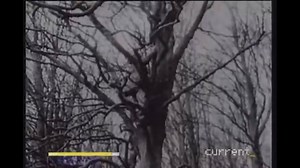 77K views · 992 reactions | LSD - Testing On British Marines (1964) | Acid House Experience | Facebook