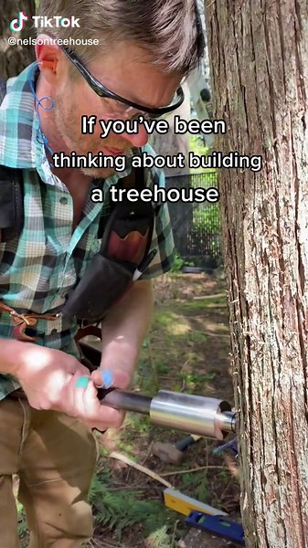 we’re here to help your treehouse dreams come true! 🤩 #nelsontreehouse #treehousemasters #treehouse #fyp #carpentry #treehousebuilding #diy #treehousehardware #treefort #buildersoftiktok