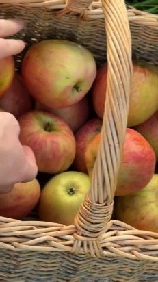 This is What We Do With Our Apples in Fall 🍎