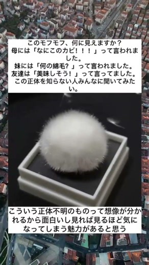 これ何に見える？正体が意外すぎる…😳