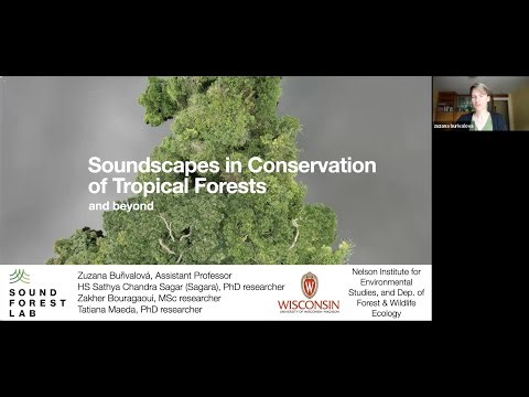 BioacousTalks: The Sound Forest Lab