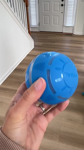 Innovative Ways to Play with Your Pet Ball