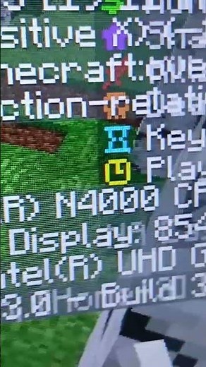 my computer is a hp stream laptop 14 4gb ram 😭 #pc #minecraft #fyp #help