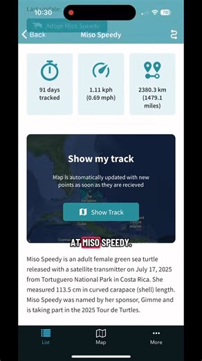 Miso Speedy is on the move! 🐢💨 This green turtle from Costa Rica has been speeding up the coasts of Nicaragua, Belize and Mexico since leaving her nesting grounds in mid-September! You can track and adopt her on the STC Turtle Tracking App and on our website. Link in bio! 🌊 Shoutout @gimmeseaweed for sponsoring her! | Sea Turtle Conservancy