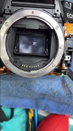 The Hidden Mechanics of Your Canon EOS #camera #photography #repairs