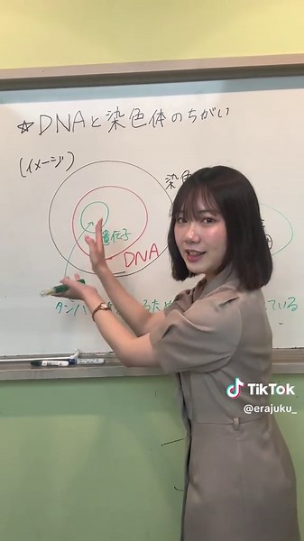 DNAと染色体の違いについて🧬 #生物 #受験 #受験生 #塾 #勉強