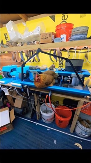 Crown Lapidary Cabbing Machine.