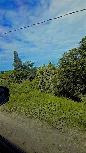 1.1K views · 29 reactions |  Dike Ng San Andre 2, Quezon Nueva Ecija 勺 Grabe , After ilang taon Now Lang ako Ulit Nakadaan Dito, Ang Dami ng Nabago 﫰 #reelsviralシfb #reelschallengereelschallenge #fypreelsシ゚viralシ #fypviralシ #fypviral | Shaoyeu Cassandra Piol | Facebook