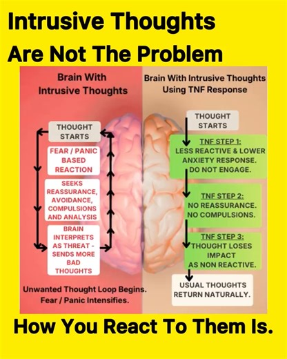 If intrusive thoughts feel “too powerful” — the problem isn’t the thought itself. It’s your reaction loop. Learn how to break that loop in minutes using the Thought Neutralizing Framework (TNF) — a simple, step-by-step method to reduce the emotional intensity of intrusive thoughts. 👉 Get Instant Access - https://evercalmmind.com/ | Ever Calm Mind