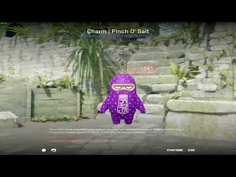 Charm | Pinch O' Salt | Purple Pattern *RARE*