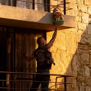 24K views · 46 reactions | I called the cops on the biker climbing my...