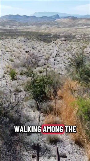 Top 7 Abandoned Mines in Texas! (Part 5)