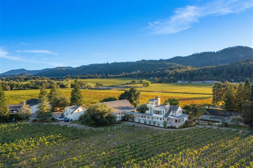 This maverick Napa Valley winery couldn’t sell. Now, it’s headed for auction — and more wineries could follow