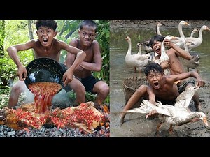 Primitive Technology - Wow! meet goose and take cooking - Eating delicious