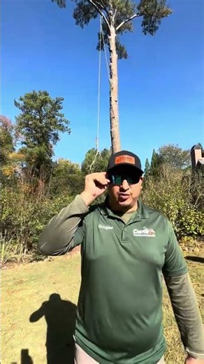 Tree Removal Near Me in Atlanta | Watch This