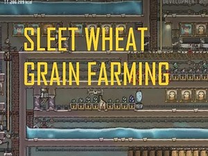 ONI - A Guide to sleet Wheat grain farming