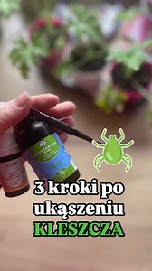 🕷 Co robić po ugryzieniu kleszcza? 3 podstawowe kroki, które mają znaczenie 🌿 1️⃣ Prawidłowe usunięcie kleszcza Kleszcza wyciągam pęsetą, chwytając go jak najbliżej skóry. Bez kręcenia, bez ściskania – jednym, zdecydowanym ruchem do góry. 2️⃣ Dezynfekcja miejsca ukąszenia Po usunięciu zawsze dezynfekuję skórę: ✔ olejek z drzewa herbacianego ✔ albo płyn Lugola (miejscowo) To ogranicza rozwój bakterii i wspiera naturalną ochronę skóry. 3️⃣ Wsparcie organizmu od środka – zioła 🌿 Po ukąszeniu war