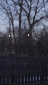 Follow @jackgordonyt for more…. | Jack Gordon