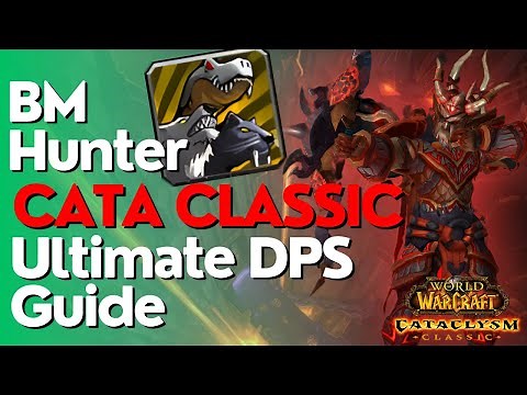 BM Hunter Complete DPS Guide | Cataclysm Classic