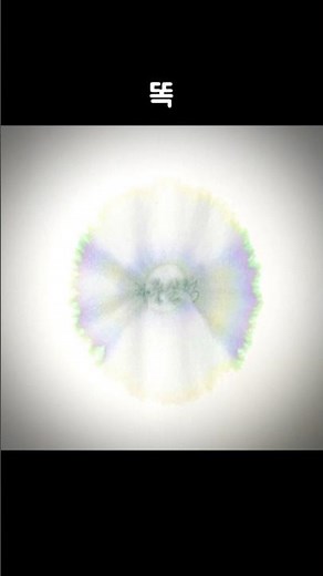 분리되는 잉크. #크로마토그래피#chromatography #과학실험#ScientificExperiments