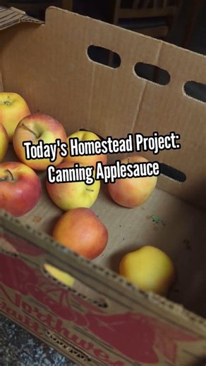 54K views · 401 reactions | Homemade Applesauce & Canning - From Scratch #applesauce #homesteading #homemade #lifeskills | Mountain Spring Homestead | Facebook